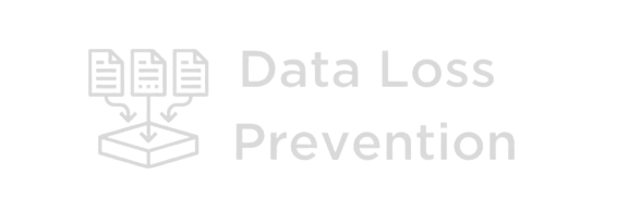 Data Loss Prevention